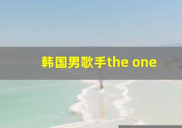 韩国男歌手the one